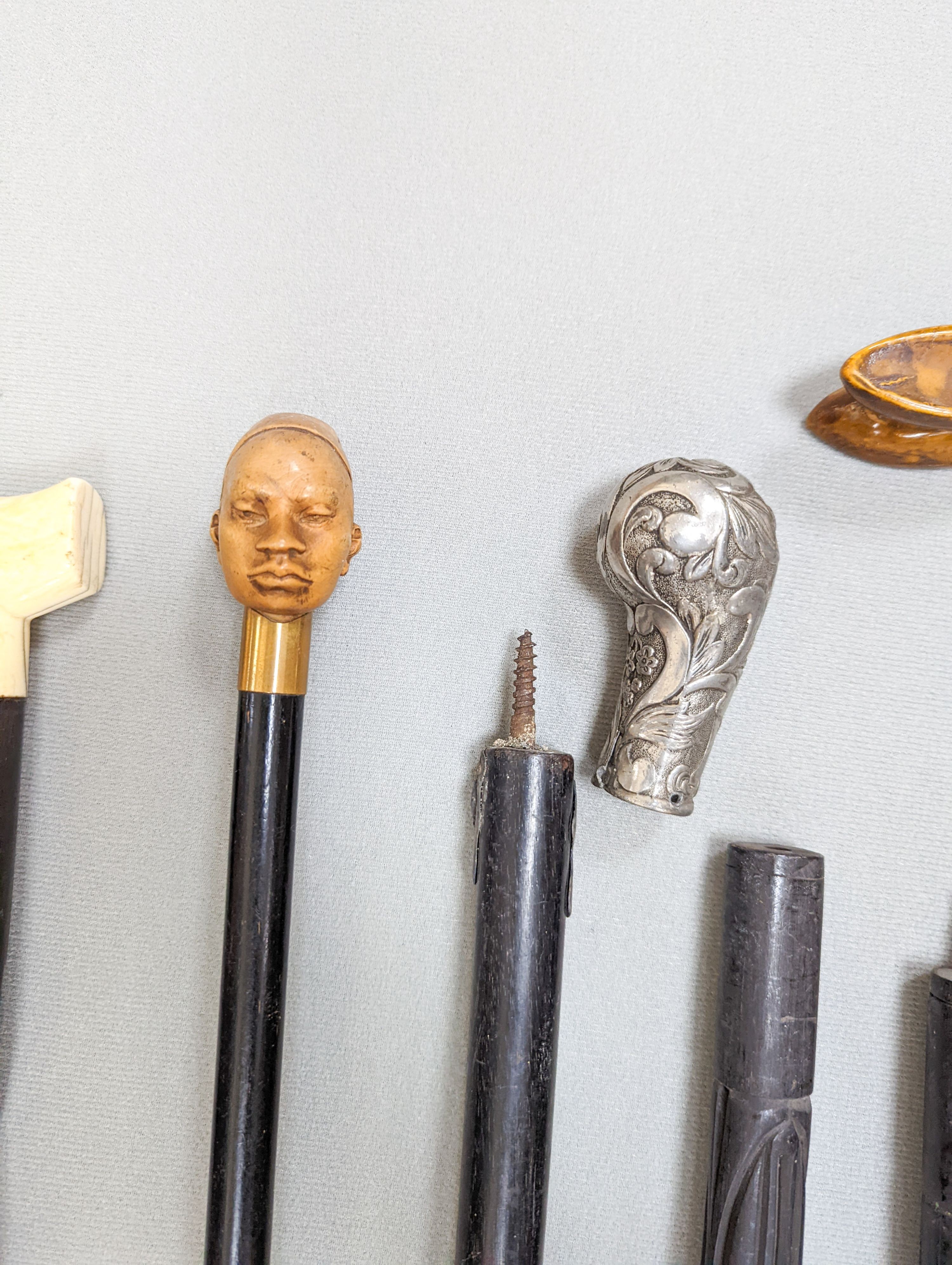A gold mounted ivory handled walking cane carved with a coiled snake, a silver mounted Mallacca cane, an ivory handled ebonised stick and six others. (9)